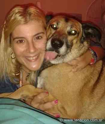 La historia de Natalia Sánchez: el caso de la primera “madre legal” de un perro - LA NACION