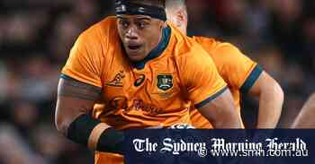 Wallabies forced into reshuffle as another senior player flies home - Sydney Morning Herald
