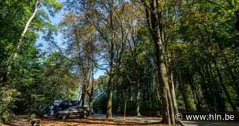 IN BEELD. De droogte: herfstbeelden tijdens zomer in Lokerse stadsparken - Het Laatste Nieuws