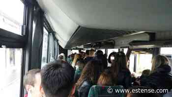 Quasi 500 giovani hanno utilizzato il Discobus | estense.com Ferrara - Estense.com