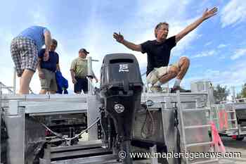 B.C. man developing less harmful way to harvest salmon selectively - Maple Ridge News