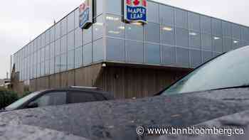 Maple Leaf shares plunge after sales slump in plant-protein division - BNN Bloomberg