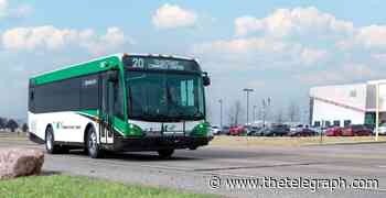 MCT enhances 'Logistics Valley' services - Alton Telegraph