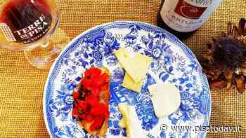 Degustazione vini biologici e passeggiata in vigna a Calci - PisaToday