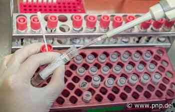 Die Sommerwelle flaut wieder ab - Lkr. Passau - Passauer Neue Presse - PNP.de