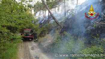 Modigliana, incendio di vegetazione spento dai Vigili del Fuoco - CorriereRomagna