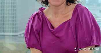 Digitalisering Brusselse overheidsdiensten voorlopig geen groot succes | Brussel | hln.be - Het Laatste Nieuws