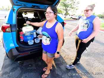 San Bernardino cat rescue becomes social media sensation for its work with feral colonies - San Bernardino County Sun