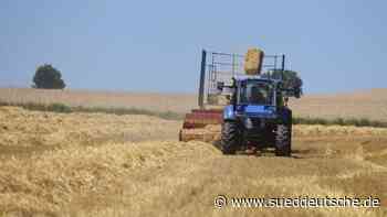 Strohernte bei Hirtlbach im Landkreis Dachau - Dachau - Süddeutsche Zeitung - SZ.de