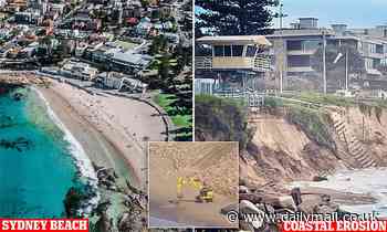 Tonnes of rock dumped at Cronulla Beach Sydney that after it almost vanished in erosion by storms - Daily Mail