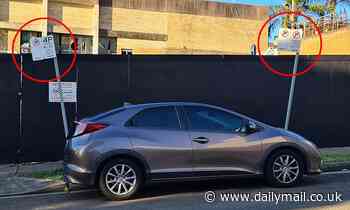 Confusing signs on Rozelle Sydney parking space lead to it being dubbed the 'yeah nah' spot - Daily Mail