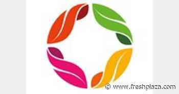 Sydney Markets Ltd launches new brand logo and identity - FreshPlaza.com