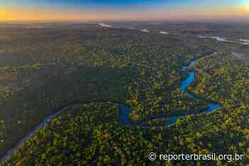 Justiça do Mato Grosso manda anular reserva ambiental na Amazônia após pedido de desmatadores - Repórter Brasil