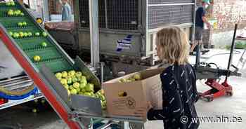 De Sapmobiel strijkt neer in Merksplas | Merksplas | hln.be - Het Laatste Nieuws