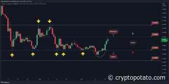ADA Skyrockets 7% Daily But Will $0.55 Fall? (Cardano Price Analysis) - CryptoPotato