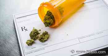 Medical cannabis growing in acceptance, improves pain in several rheumatic diseases - Healio