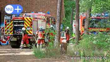 Ludwigsfelde: Nach Brand am 9.8.2022 – Polizei ermittelt - Märkische Allgemeine Zeitung