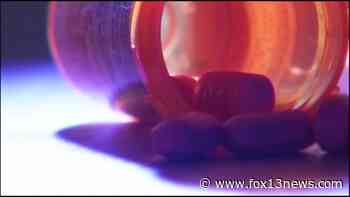 ‘Our kids are dying’: Medical providers, elected officials discuss opioid crisis solutions - FOX 13 Tampa