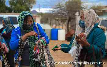 Pueblos originarios continúan en calidad de analfabetas - El Sol de Hermosillo