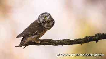 Aus Daten werden Emotionen - ChannelPartner