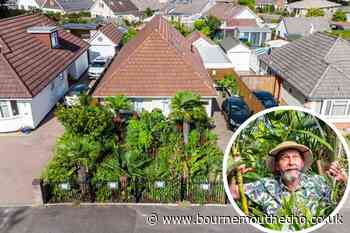 Poole man stores thousands of litres of rainwater for garden - Bournemouth Echo