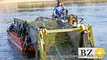 So befreit ein Mähboot den Allersee Wolfsburg von Wasserpflanzen