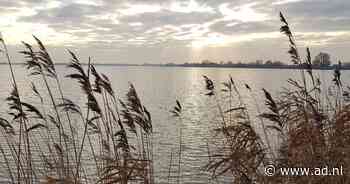Dát is balen: geen kampvuur meer bij Reeuwijkse Plassen, rook- en vuurverbod ingesteld door droogte - AD.nl