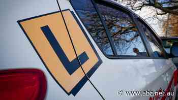 Is it time to scrap learner speed limits? Some driving trainers say roads would be safer