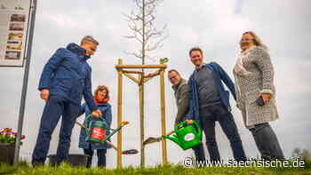 Riesa: Lorenzkirch: Ein Friedensbaum an welthistorischem Platz | Sächsische.de - Sächsische.de