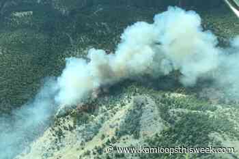 Watching Creek wildfire north of Kamloops grows to 195 hectares - Kamloops This Week