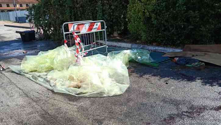 Vercelli, il mistero delle decine di carcasse di cane sparse per la città - La Repubblica