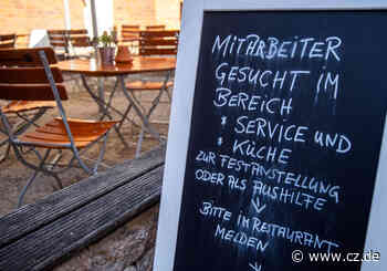 Personalmangel in der Gastronomie trifft auch Tourismus im Landkreis Celle - Cellesche Zeitung