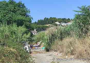 Pescara, accampamento vicino al cimitero: "Rischio nuovo incendio per la pineta dannunziana" - Abruzzo Cityrumors