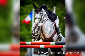 Greater Victoria horse heroine celebrates Canadian equestrian breeding award - Comox Valley Record