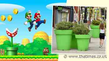 A hot button issue: Walsall's 'Super Mario' plant pots - The Times