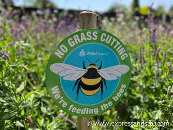 'Let the grass grow' – Walsall Council to reduce cutting to help wildlife - Express & Star