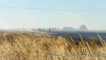 Dartford: Cut corn destroyed after Burnt House Lane fire