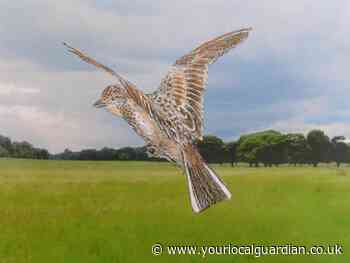 Nature Notes: An afternoon in the park