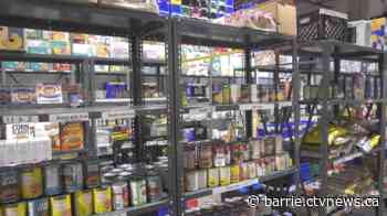 Aurora seniors set to walk 90 kilometres to support the food bank - CTV News Barrie