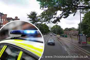 Westwood Hill Lewisham stabbing: Appeal launched for witnesses 