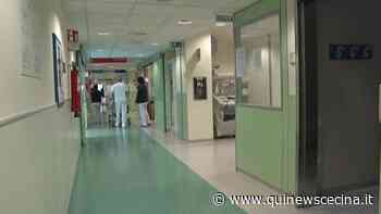 Servizio civile digitale, il bando - Qui News Cecina