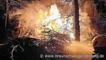 Waldbrände: Freitag gilt Gefahrenstufe 4 in Harz und Göttingen