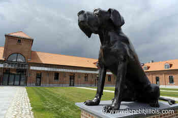 Issam Rezig, révélation de Wasquehal, devrait rejoindre la réserve du LOSC | Le petit Lillois - Le Petit Lillois