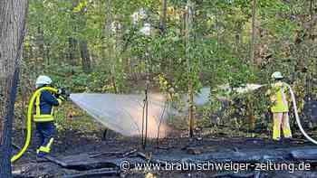 Waldbrand in Velpke: Glutnester auf 300 Quadratmetern
