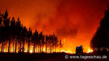 Europa unterstützt Frankreich im Kampf gegen die Waldbrände