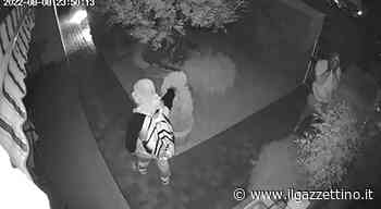 Vigonza. Il sindaco pubblica sui social i volti dei banditi. E invita i concittadini: «Mandatemi le loro foto» - ilgazzettino.it