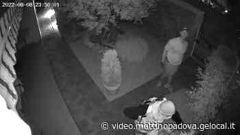 Ladri a Vigonza filmati dalle telecamere, il sindaco mette il video sui social - Video