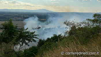 Rieti, incendio a Magliano Sabina. Paura per le abitazioni. Ipotesi matrice dolosa | Foto | Video - Corriere di Rieti