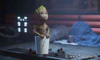 Jetzt wird auch noch Disney+ teurer | TV DIGITAL - TV Digital