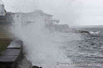 Updated climate action plan approved in Sidney - Saanich News